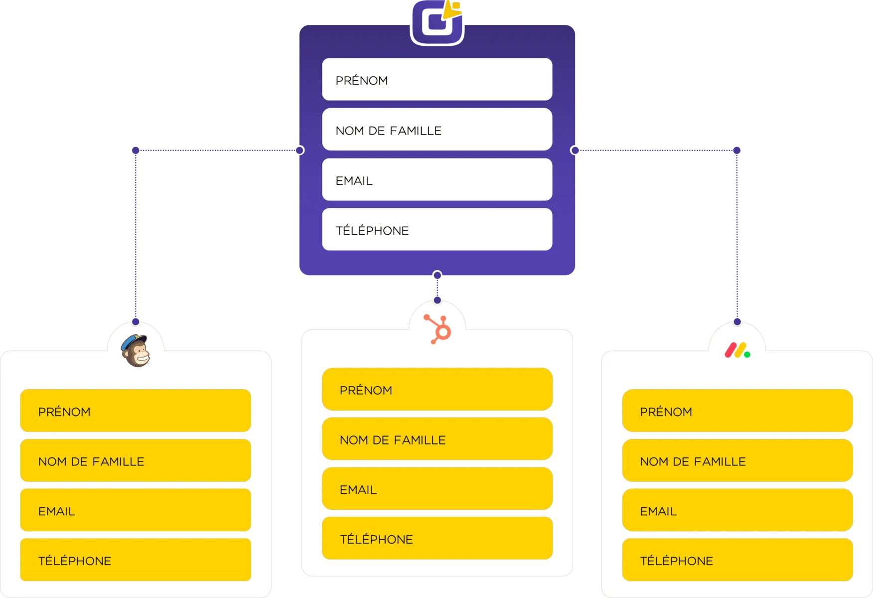 Illustration de formulaire avec intégration marketing externe : Collectez des informations précieuses sur vos visiteurs pour des activités marketing ciblées.